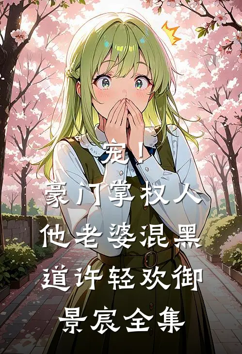 宠！豪门掌权人他老婆混黑道许轻欢御景宸 全集