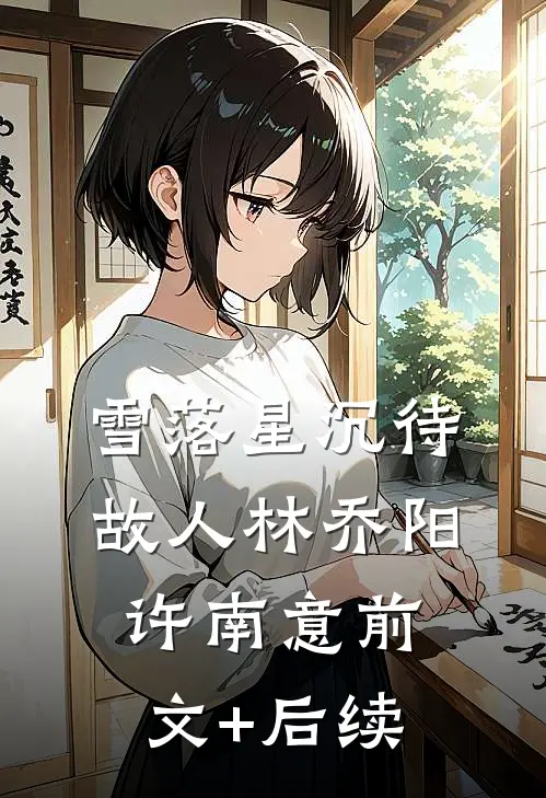 雪落星沉待故人林乔阳许南意前文+后续