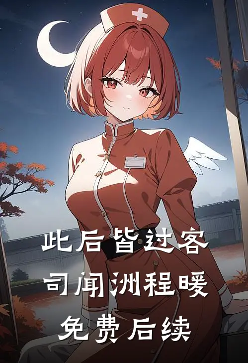 此后皆过客司闻洲程暖免费后续