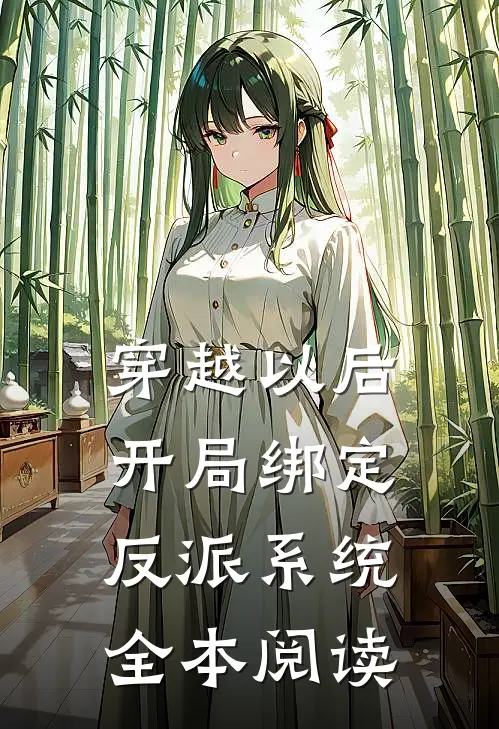 穿越以后，开局绑定反派系统全本阅读