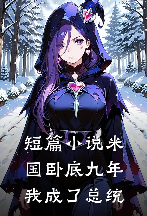 短篇小说米国卧底九年，我成了总统